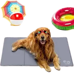 Lucky Paws